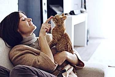 Evcil Bir Dostla Yaşam