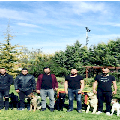 KÖPEK EĞİTMENLERİ AKADEMİSİ