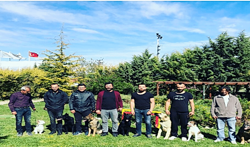 KÖPEK EĞİTMENLERİ AKADEMİSİ